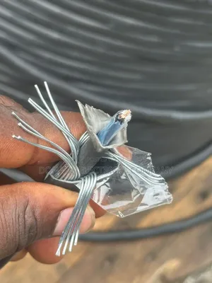 1.5mmx2pair Swa Instrumentation Cable