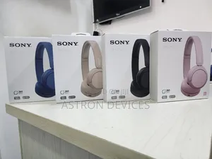 Sony Wh-Ch520 Headphone