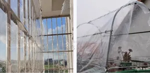 Clear PVC Tarpaulin / Transparent PVC Sheet (0.3mm Thickness)