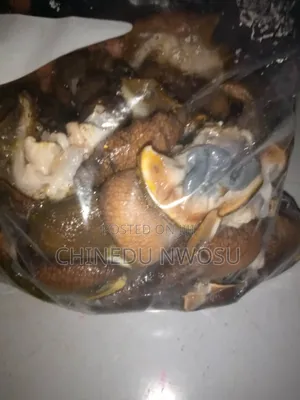 Deshelled and Cleaned Giant Snail Meat