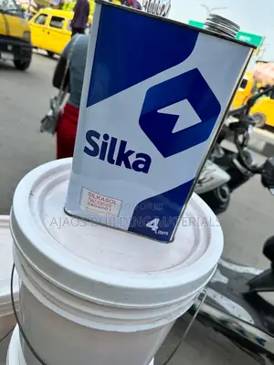 4l Silka Original Paint Removal