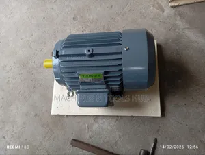 5.5hp Viking Electric Motor