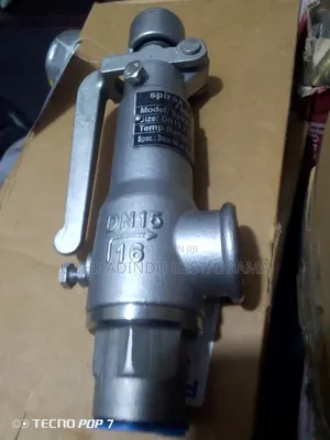 Safety Release Valve Stainless 3/4inches