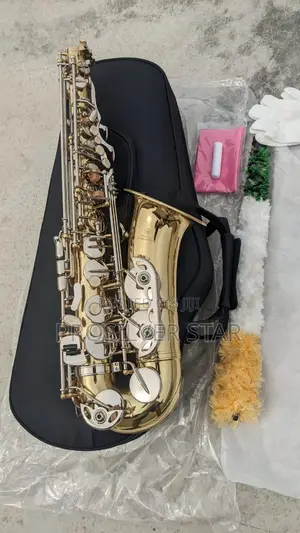 Yamaha Custom Z Gold and Silver Alto Saxophone
