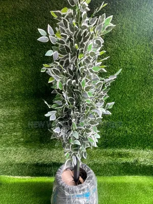 Stand Flower Plant