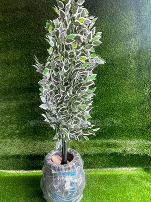 Stand Flower Plant
