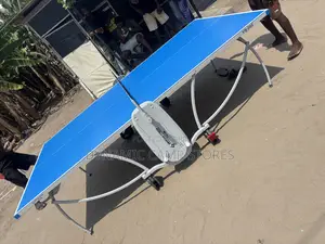 Outdoor Table Tennis