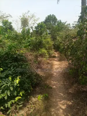 Acres Available for Sale in Ibadan