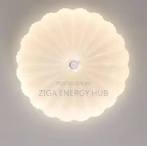 Flush Ceiling Light