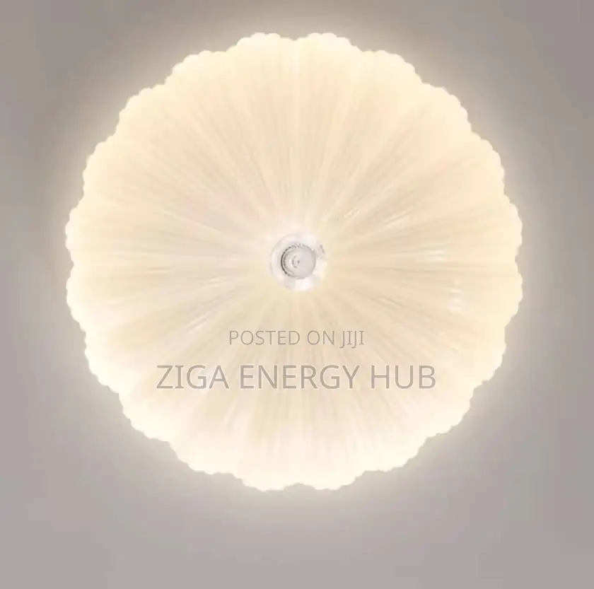 Flush Ceiling Light