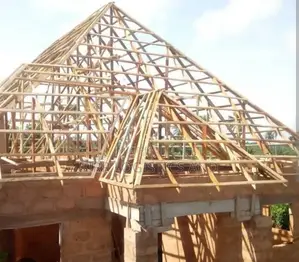 Roofing and Carpentry Expert