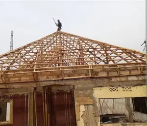 Roofing and Carpentry Expert
