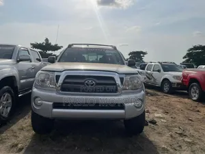 Toyota Tacoma Double Cab V6 Automatic 2010 Silver