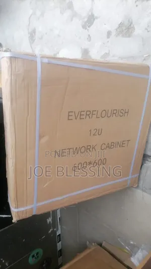 Ever Flourish 12u. Networking Cabinet