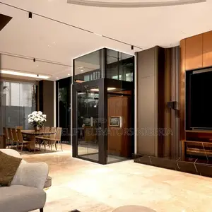 Low Cost Villa Elevator Home Lift