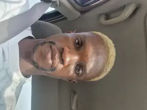 Personal Driver to Ceo