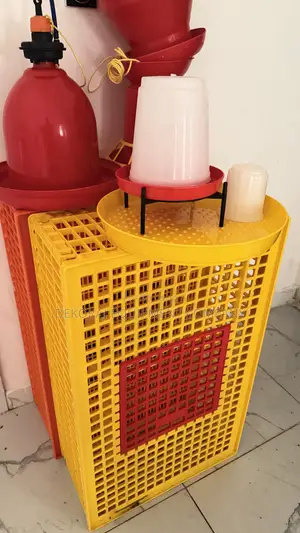 Indian Transport Crate for Poultry Logistics ,Drinkers ,Bell Drinkers