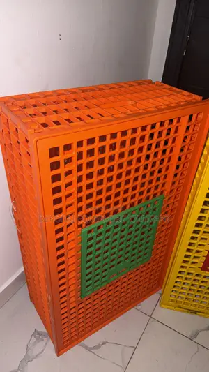 Indian Poultry Crate for Stress-Free Bird Transport,Point of Lay