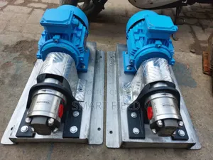Stainless Gear Pump