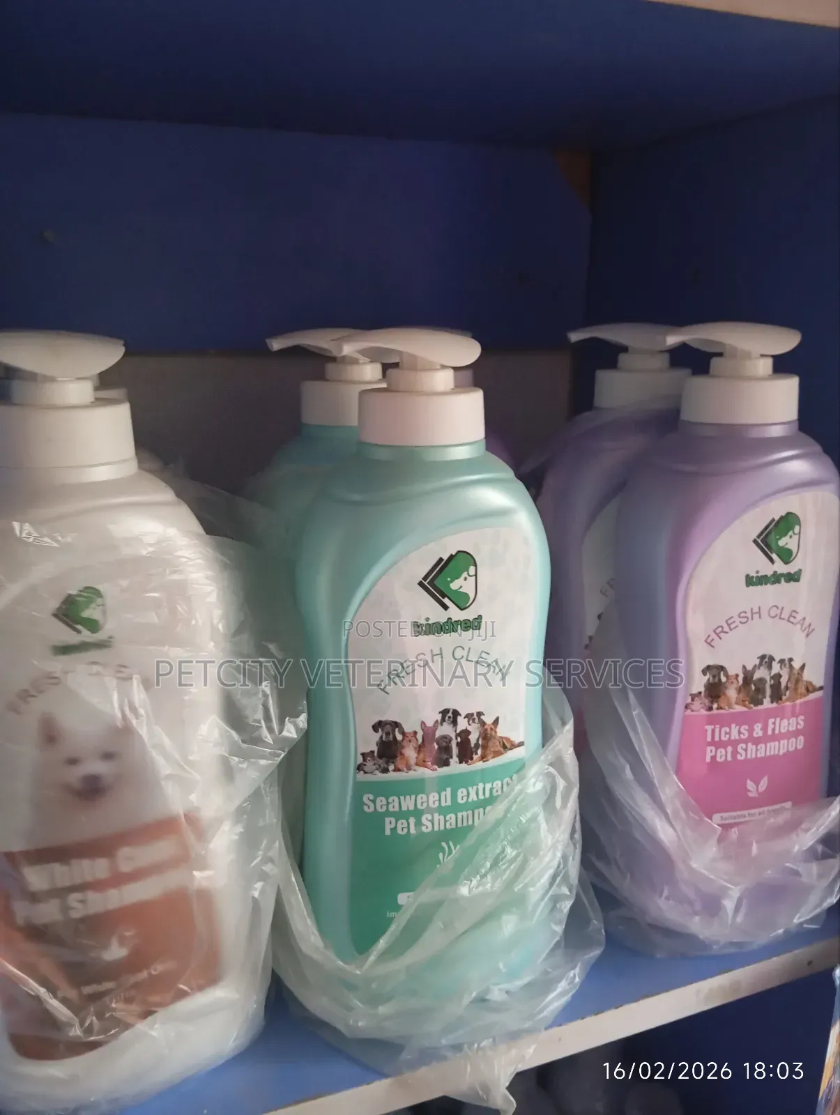 Kindred Bath Shampoo