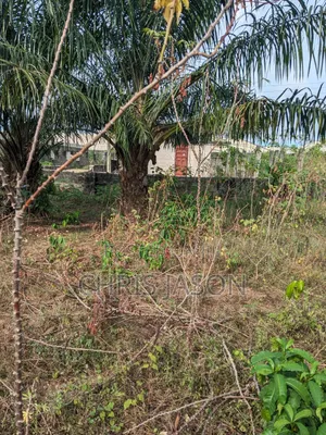 Prime 100ft X 200ft Abraka Land for Sale