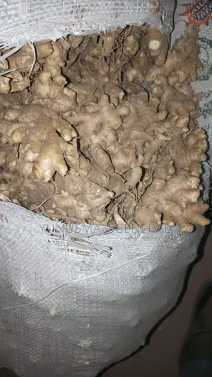Ginger Fresh