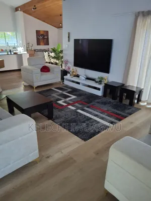 Neatly Used Living Room Setee
