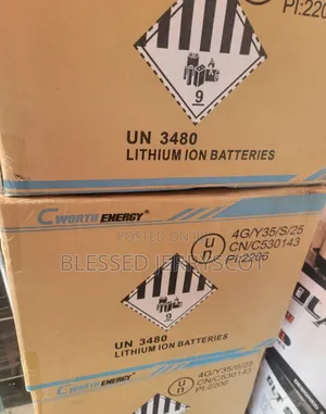 Cworth Energy 2.5kwh 12v Lithium-Ion Inverter Solar Batteries in Stock