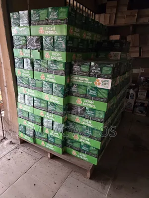 Irish Spring Bar Soap