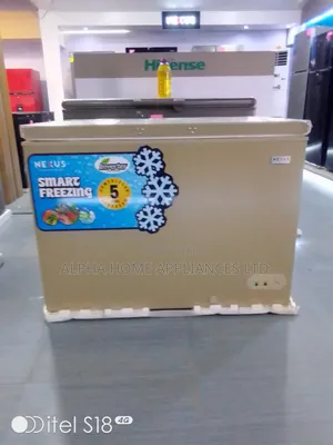 Nexus Inverter Chest Freezer 320l