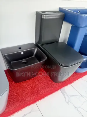 Executive Matt Black Water Closet