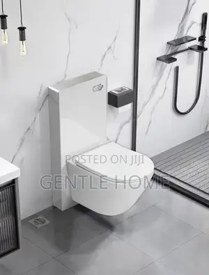 White Concealed Water Closet