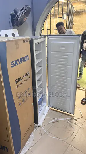 Skyrun BDL-185h Standing Freezer – Energy Saving