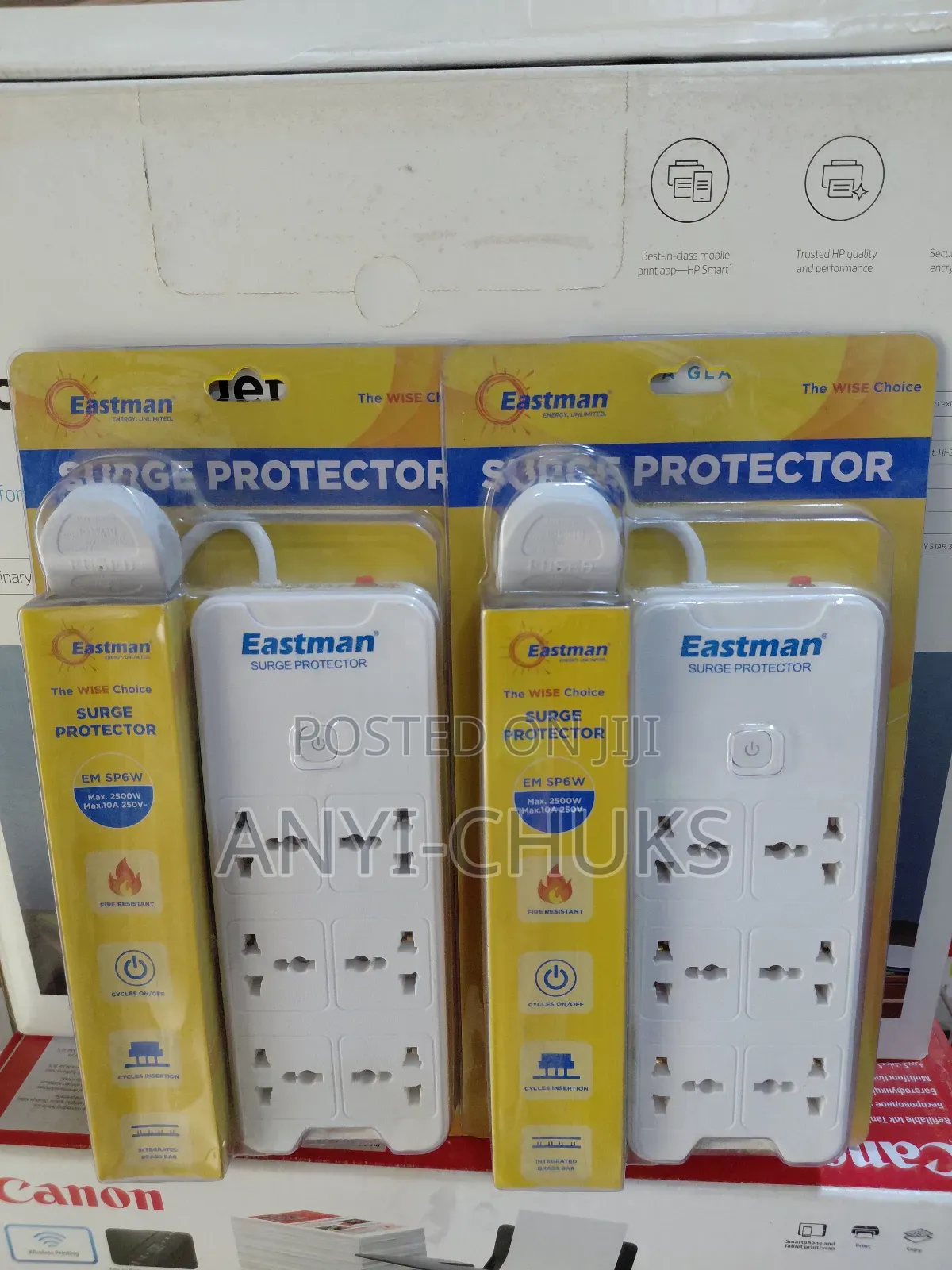 Eastman Surge Protector