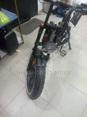 Same Electric Adult Bicycle
