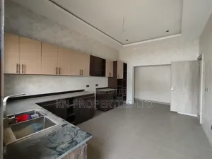 4bdrm Duplex in Asokoro Main for rent