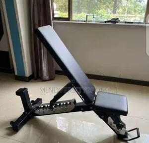 Commercial Adjustable Sit-Up Bench