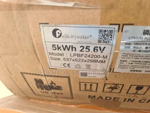 Fefelicity Lithium Irom Battery 5kwh 24