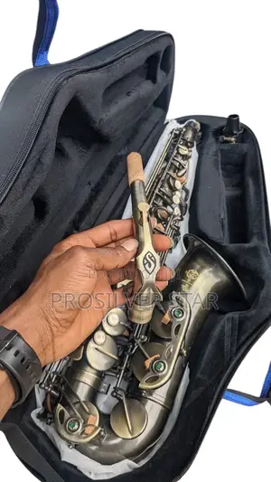 Selmer Bronze Alto Saxophone