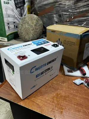 The Best Salesman of 100ah Cworth Energy Lithium Lon Battery.