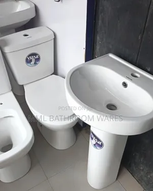 Toilet Seat With Basin and Pedestal