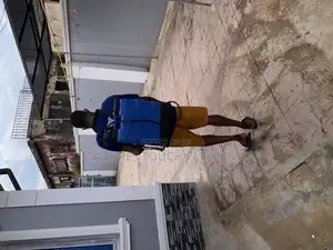 Professional Cleaning Services