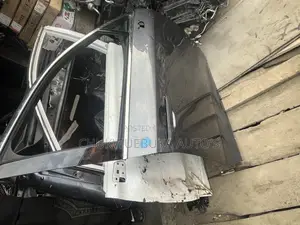 Complete Door Rx350 2025