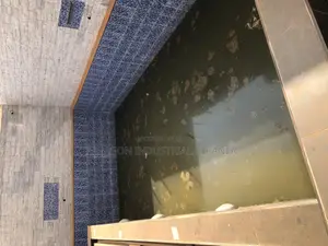 Cleaning Services