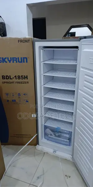 Skyrun BDL-185h Home Shop Standing Freezer