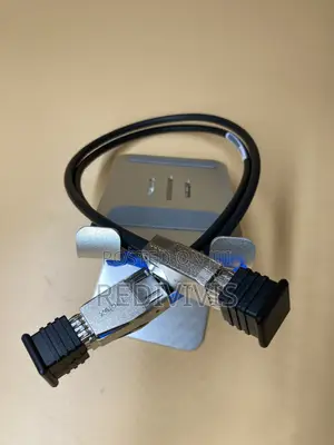 Sas Mini Sas Hd (Sff-8644 to SFF-8088)