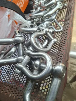 Stainless D Shackles