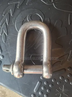 Stainless D Shackles