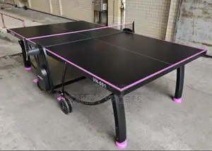 Heavy Duty Pink and Black Colored Table Tennis Board
