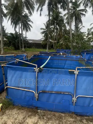 Mobile Fish Pond 9 X 15 Ft